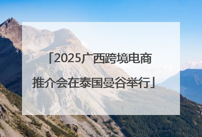 2025广西跨境电商推介会在泰国曼谷举行