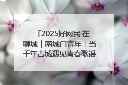 2025好网民·在聊城｜南城门青年：当千年古城遇见青春歌谣 一湖碧水见证的“聊城式浪漫”