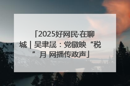 2025好网民·在聊城｜吴聿晟：党徽映“税”月 网播传政声