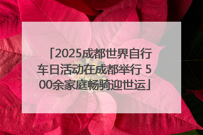 2025成都世界自行车日活动在成都举行 500余家庭畅骑迎世运