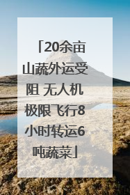 20余亩山蔬外运受阻 无人机极限飞行8小时转运6吨蔬菜