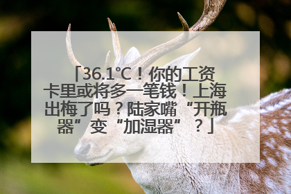 36.1℃！你的工资卡里或将多一笔钱！上海出梅了吗？陆家嘴“开瓶器”变“加湿器”？