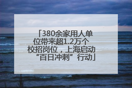 380余家用人单位带来超1.2万个校招岗位，上海启动“百日冲刺”行动