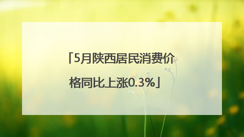 5月陕西居民消费价格同比上涨0.3%