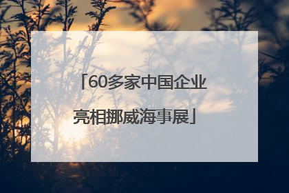 60多家中国企业亮相挪威海事展
