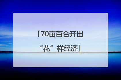 70亩百合开出“花”样经济