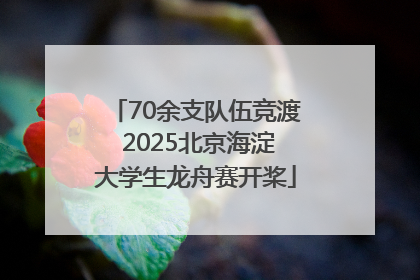 70余支队伍竞渡 2025北京海淀大学生龙舟赛开桨