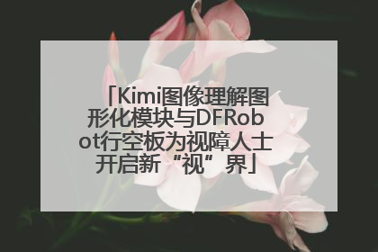 Kimi图像理解图形化模块与DFRobot行空板为视障人士开启新“视”界